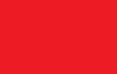 Stry-Lenkoff Day Tags 1000 Box - Red