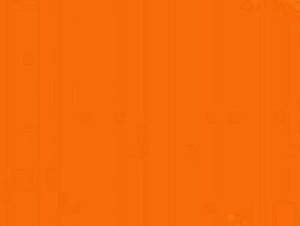 Stry-Lenkoff Day Tags 1000 Box - Orange