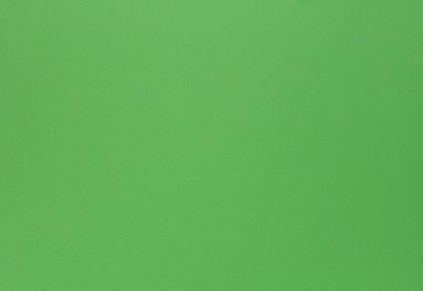 Stry-Lenkoff Day Tags 100 Pack - Green